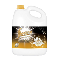 Fineline Liquid Detergent